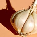 Garlic: Overview of Its Uses, Health Benefits and Recipes