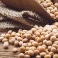 Cooking Soybeans: An Easy Guide