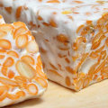 Digestive Health Benefits of Tempeh