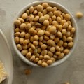 Health Benefits of Tempeh