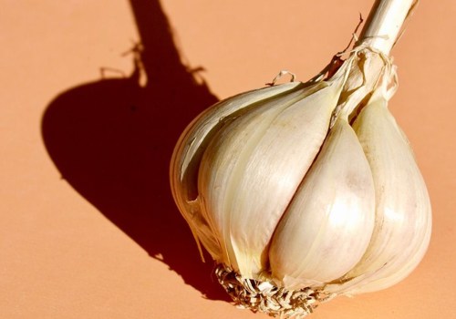 Garlic: Overview of Its Uses, Health Benefits and Recipes
