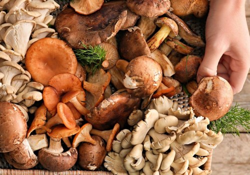 Explore the Health Benefits of Tempeh and Mushrooms