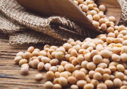 Cooking Soybeans: An Easy Guide